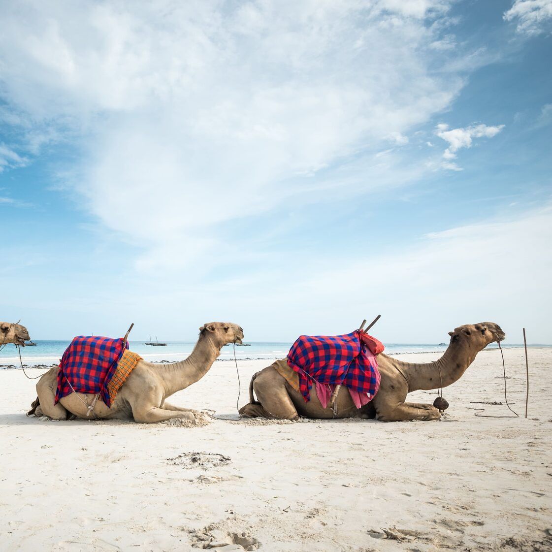 пляжи египта