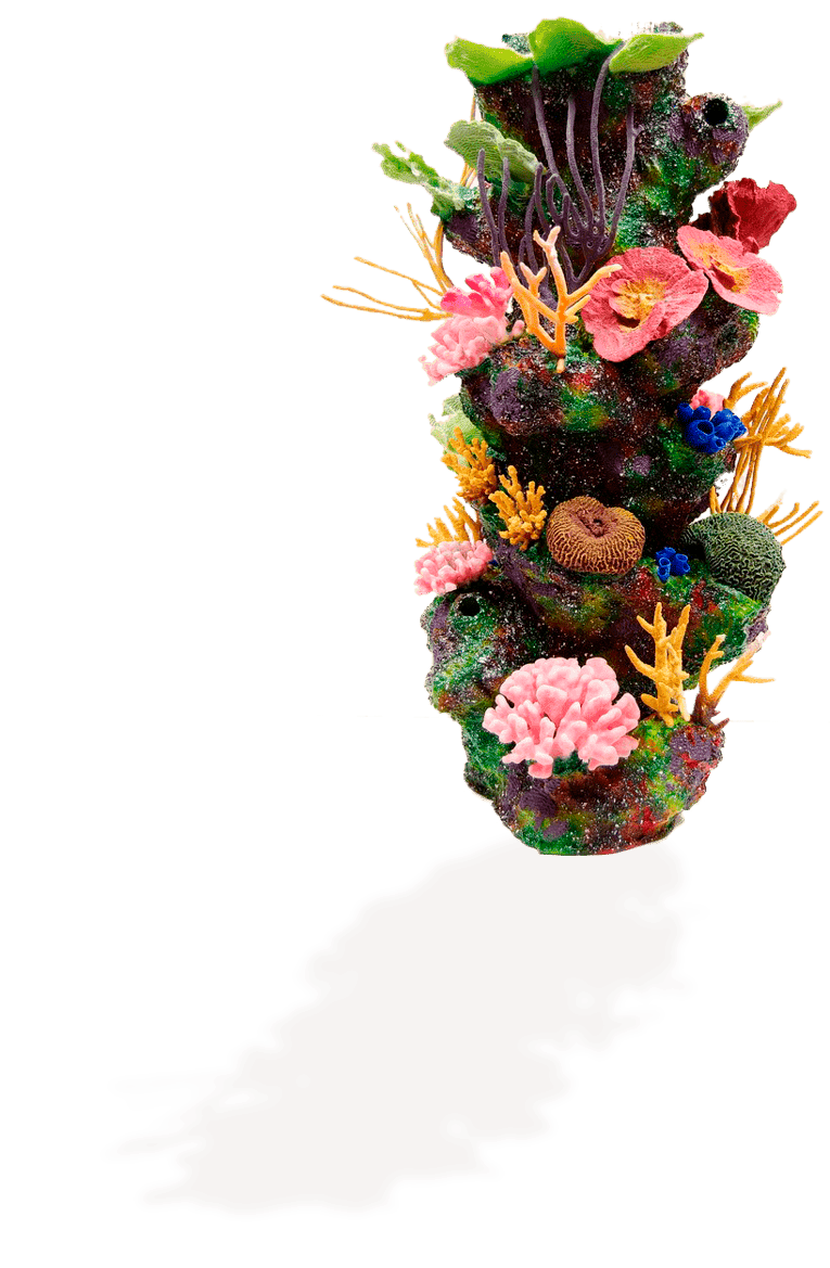 подводный мир египта