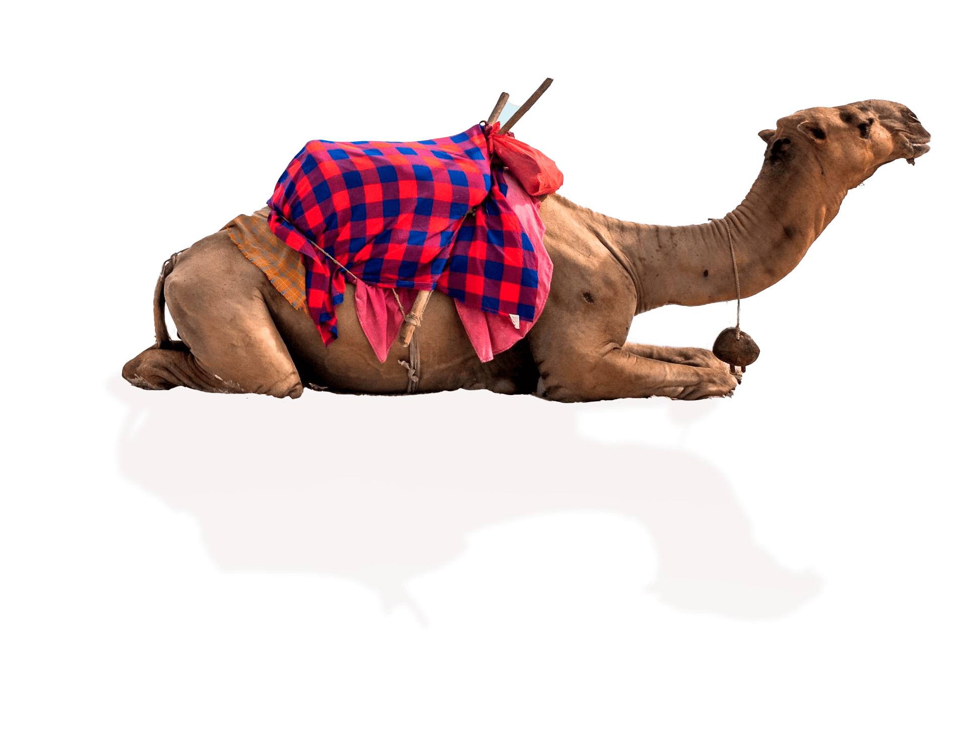 песчаные пляжи египта