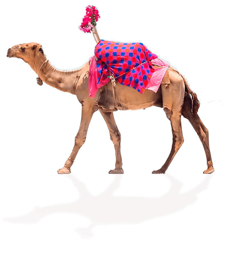 путешествие в египет