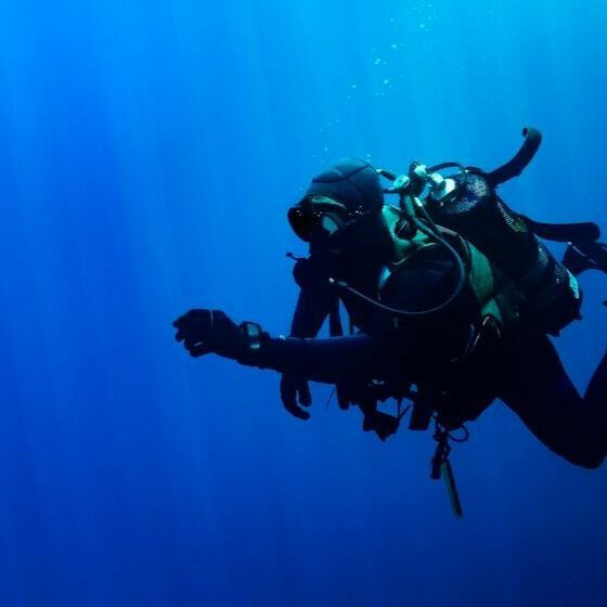 дайвинг в египте